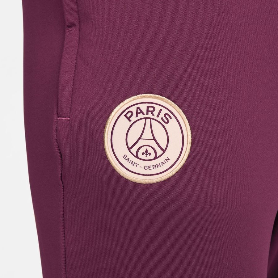Paris Saint Germain Training Trousers Dri-FIT Strike - Bordeaux/Geode Teal/Guava Ice - Men's-SoccerKits Hub | Buy Soccer Jerseys Online